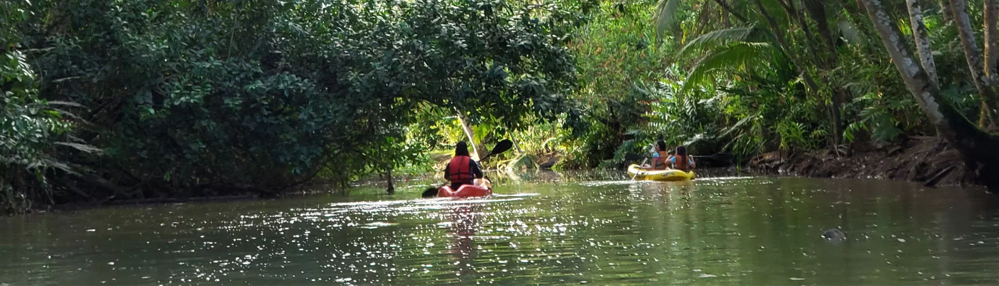 Kayaking river Caribbean Costa Rica